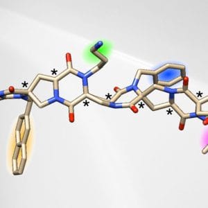 Breakthrough Targets Spinal Disc Repair Mechanism