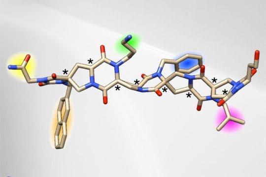 Breakthrough Targets Spinal Disc Repair Mechanism