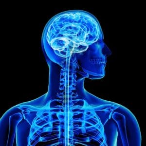 RNA Revolution: Building Life's Scaffolding in the Lab