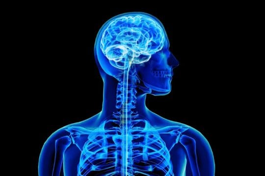 RNA Revolution: Building Life's Scaffolding in the Lab