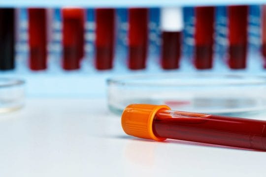 Breakthrough: Cellular Aging's Unexpected Brake