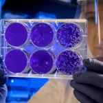 cells