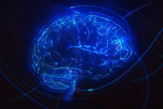 Groundbreaking Xenotransplant: Pig Liver Saves Human Life