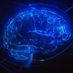 Rejuvenation Roundup: Breakthrough Wellness Insights