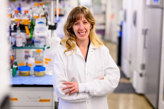 Tiny Vesicles Revive Damaged Heart Tissue in Mice