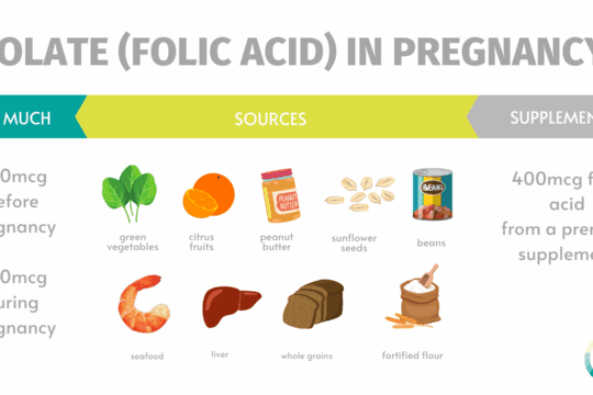 A Dietitian's Guide to Nutrition in Pregnancy