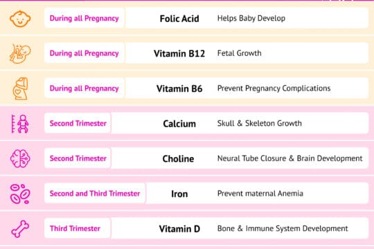 Nurturing Vital Beginnings: The Role of Supplements During ...