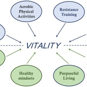 The pursuit of health: A vitality based perspective - ScienceDirect