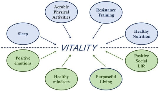 The pursuit of health: A vitality based perspective - ScienceDirect
