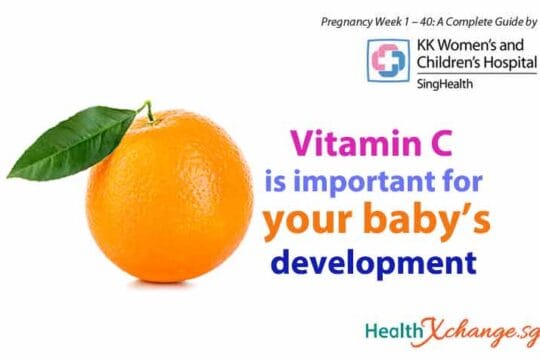 Pregnancy Week 21: Take Vitamin C, Summary of Dos and Don'ts ...